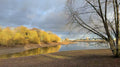 2025年11月30日 运河Edgbaston Reservoir
