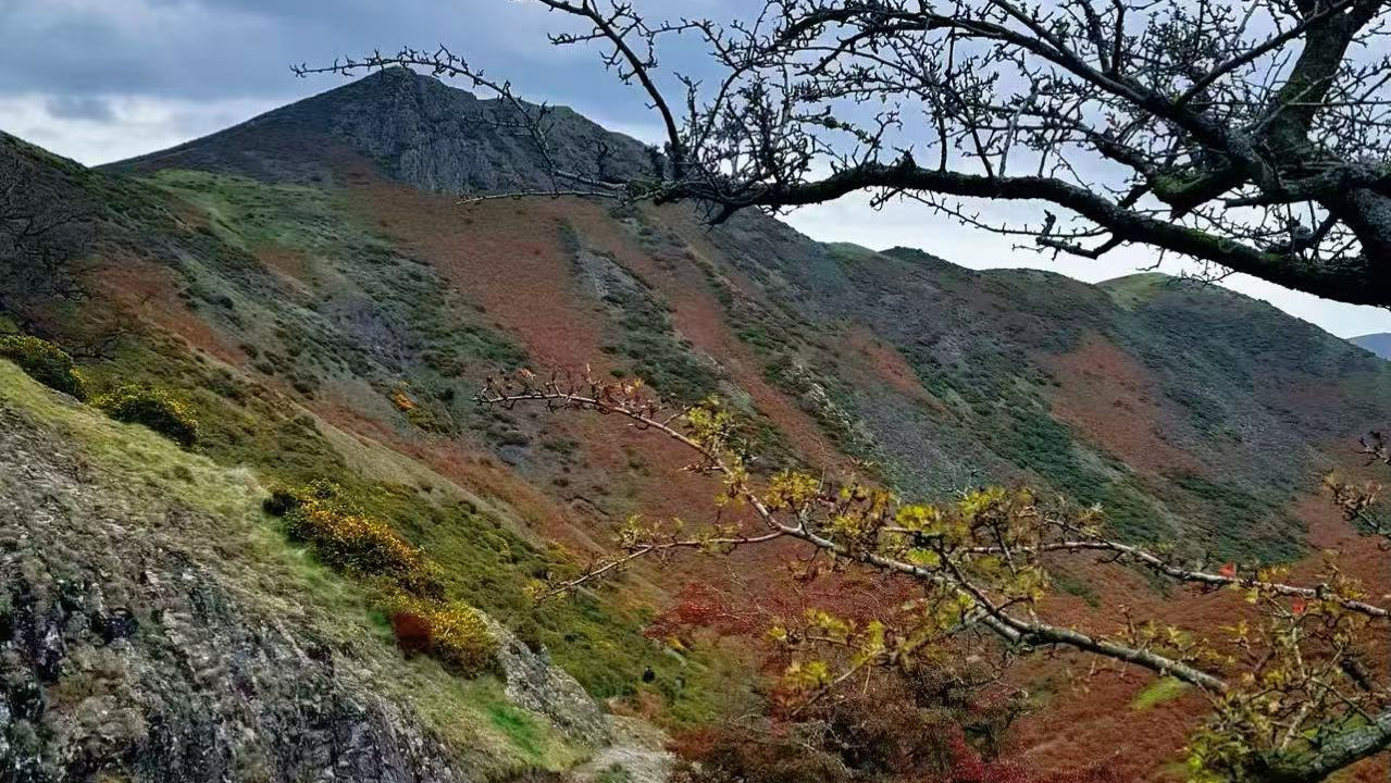 2025年10月18日 Carding Mill Valley