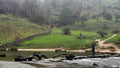 2025年11月22日 峰区Dovedale
