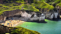 2026年5月30日 Flamborough 看海豹